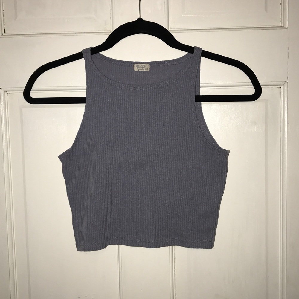John Galt crop top purple